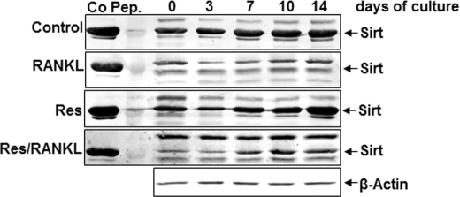 FIGURE 10.