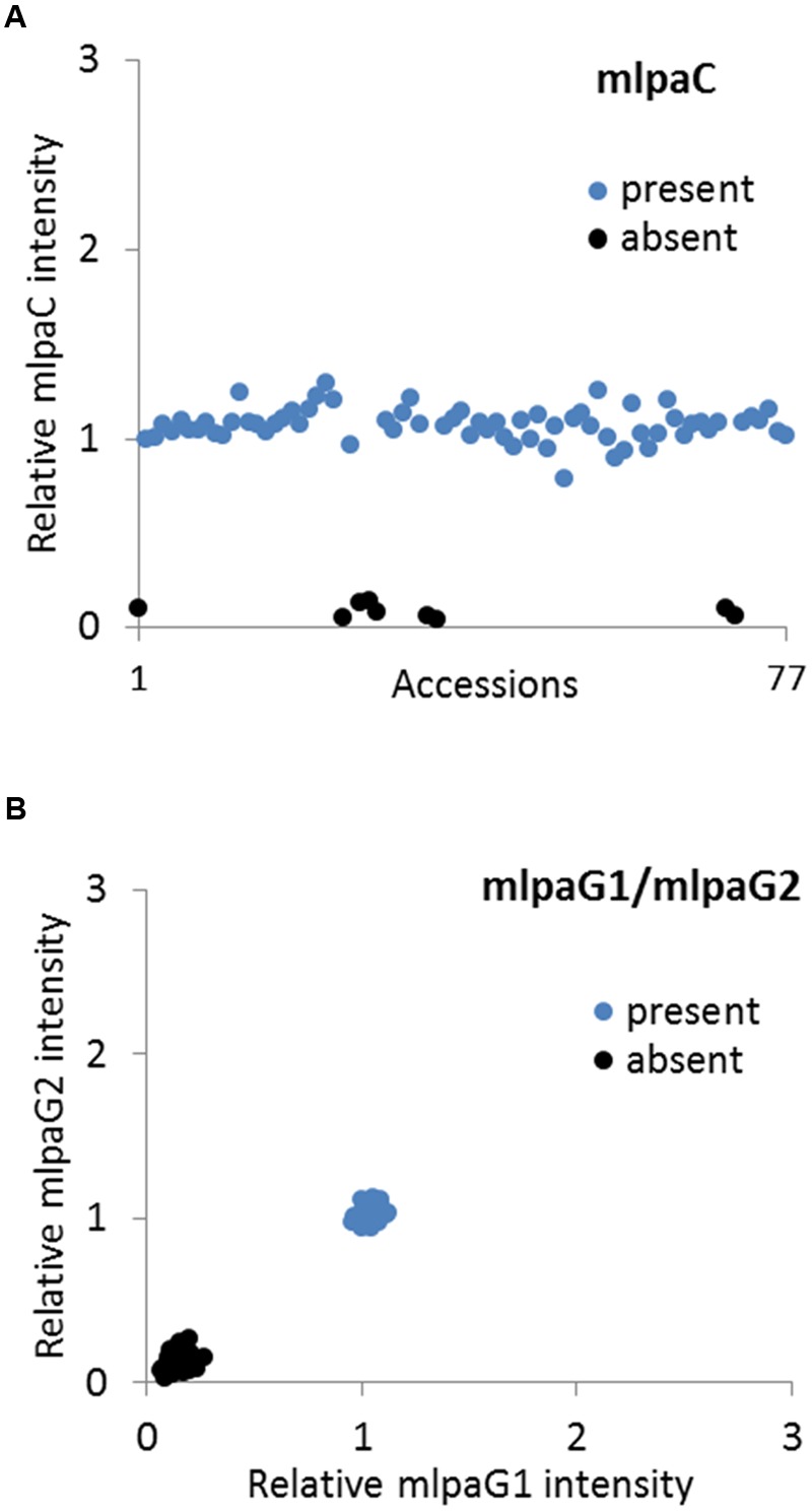 FIGURE 4