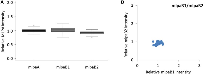 FIGURE 3