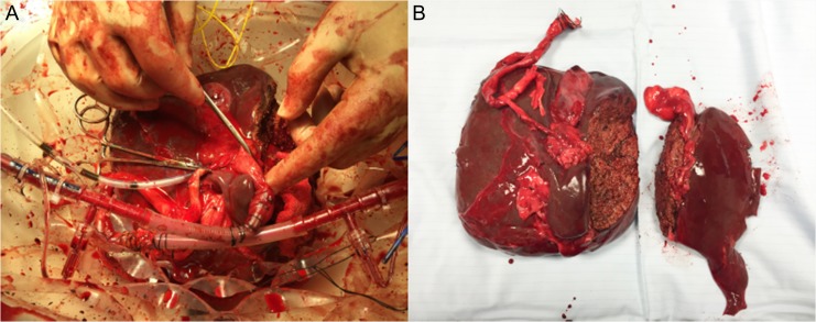 Figure 1: