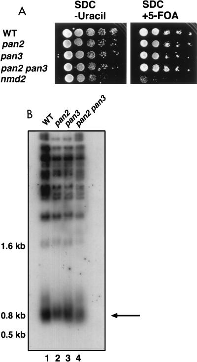 FIG. 8