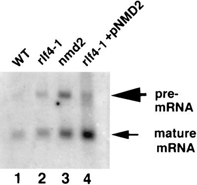 FIG. 5