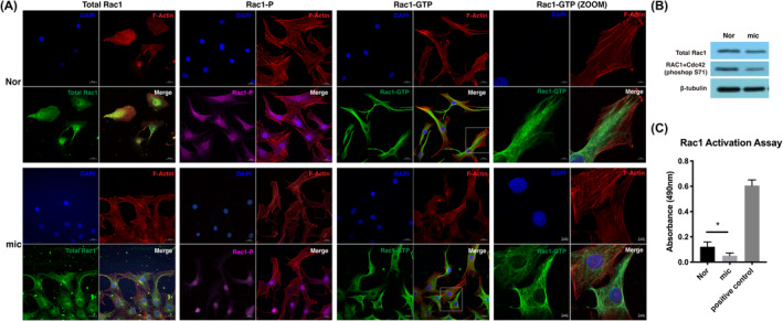 FIGURE 3