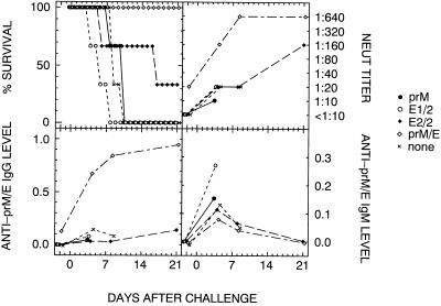 FIG. 8