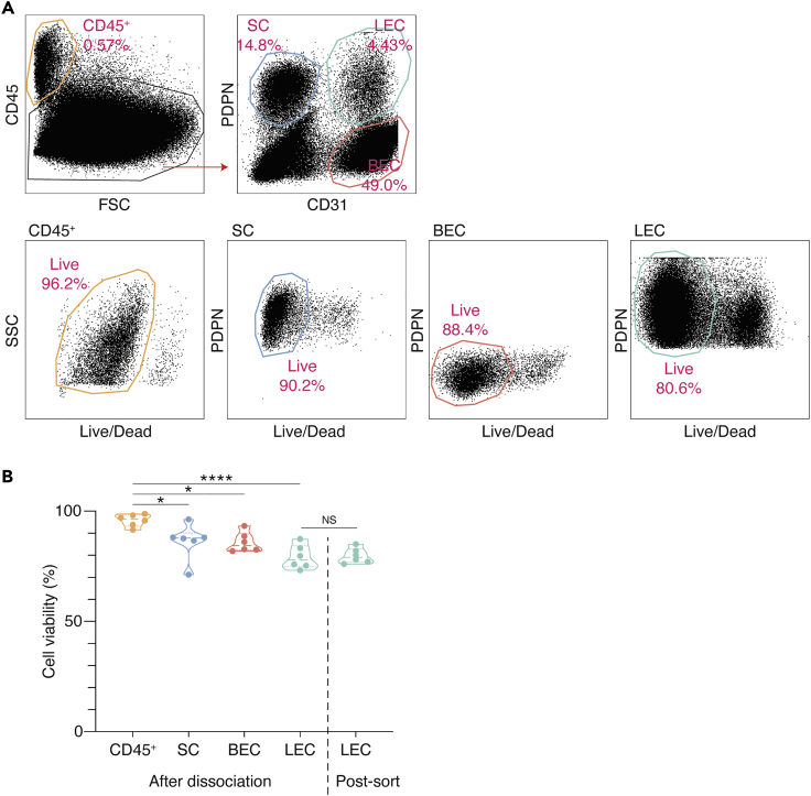 Figure 2