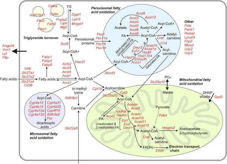 Figure 7