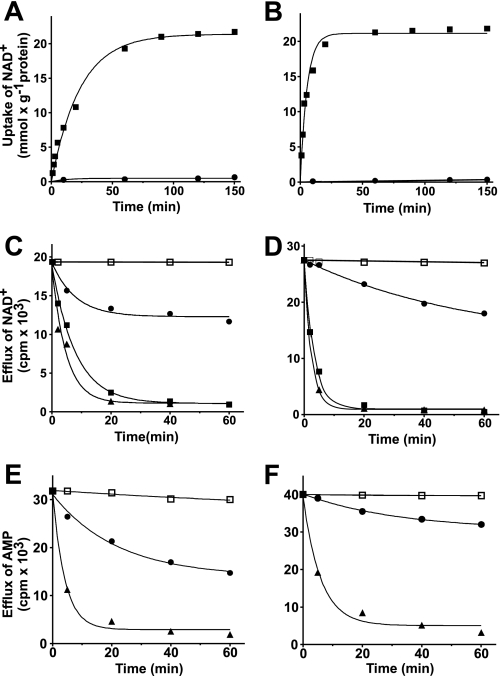 FIGURE 4.