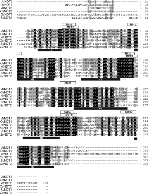 FIGURE 1.