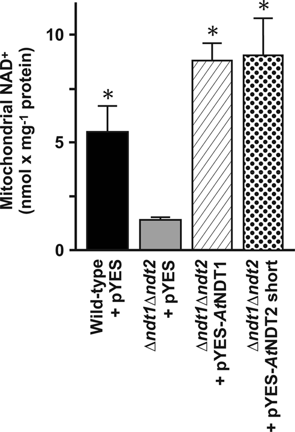 FIGURE 5.