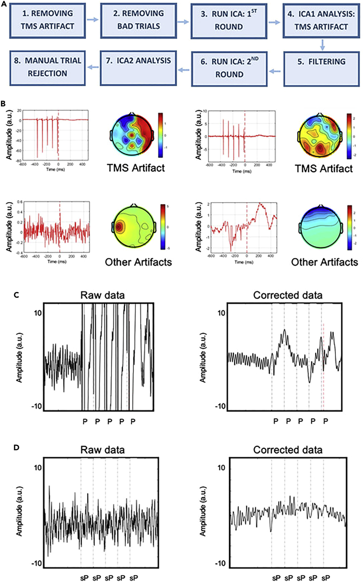 Figure 4