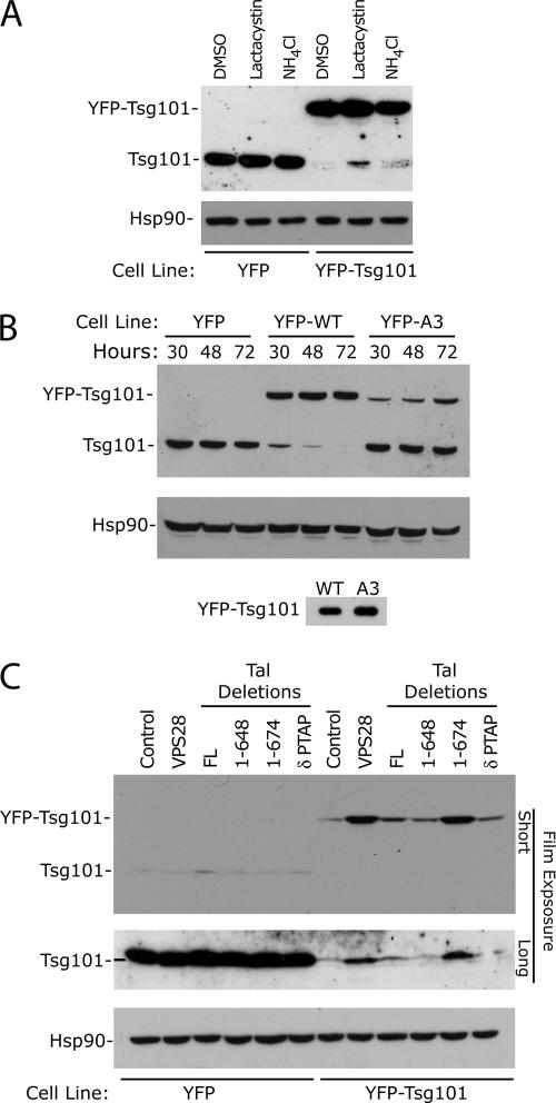 Figure 5.