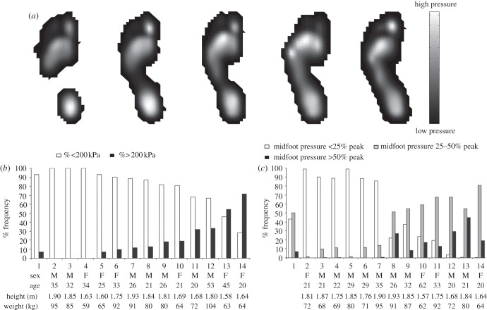 Figure 1.