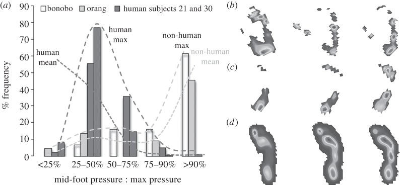 Figure 2.