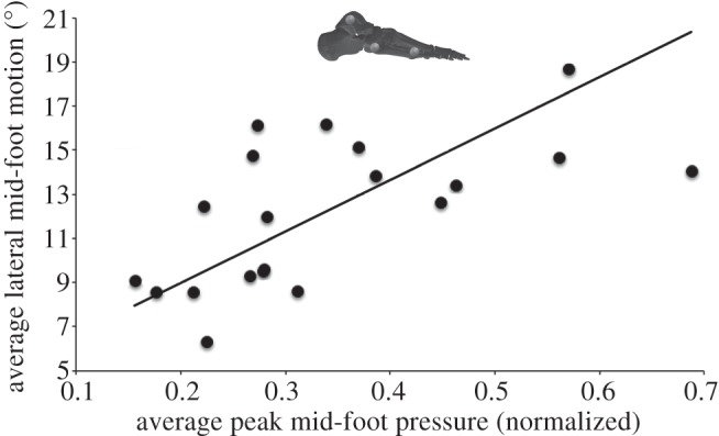 Figure 3.