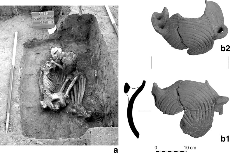 Fig. 7