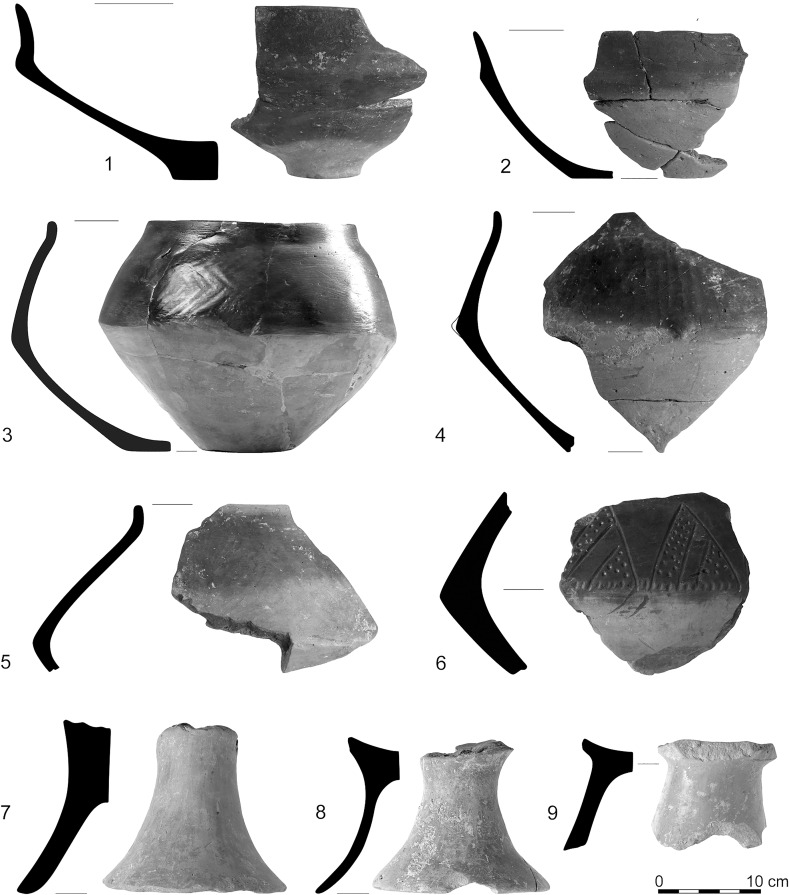 Fig. 10