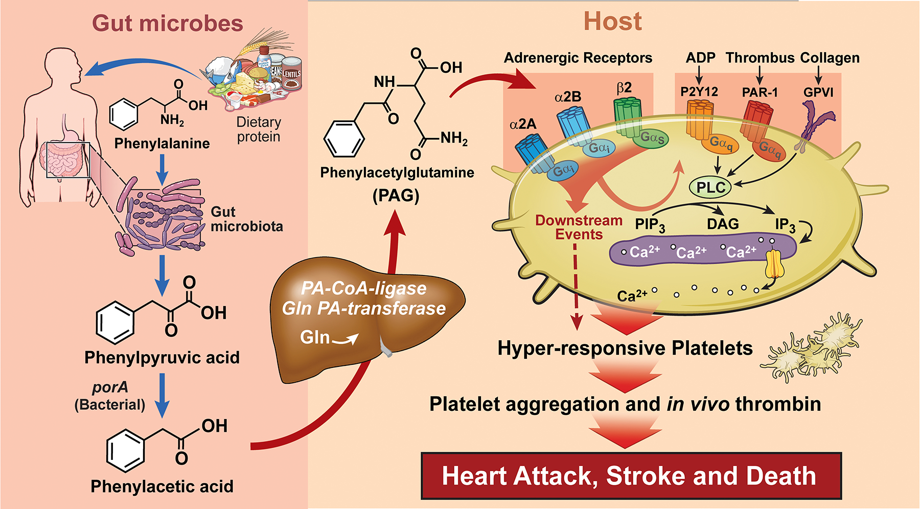 Figure 4: