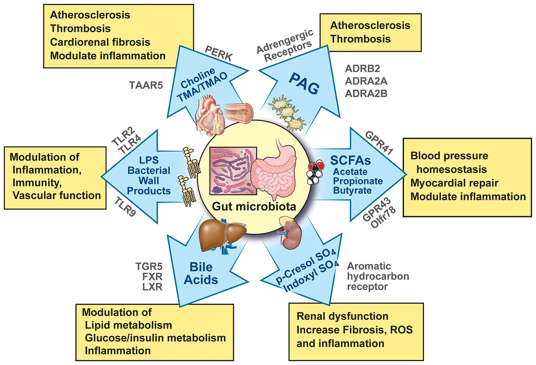 Figure 1: