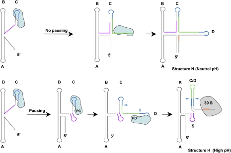 Figure 6.