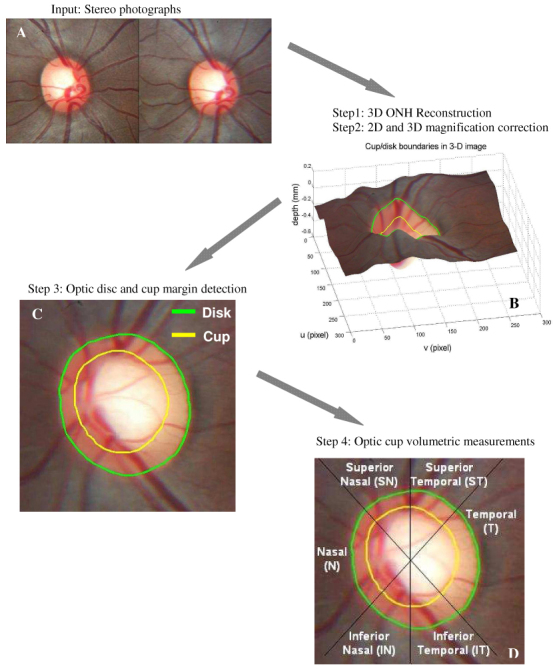 Fig. 1