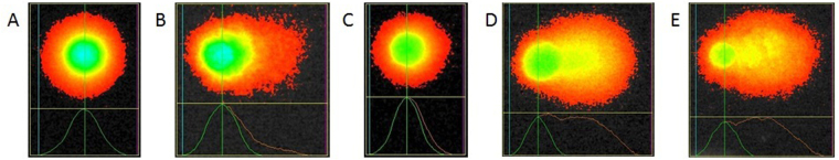 Figure 8