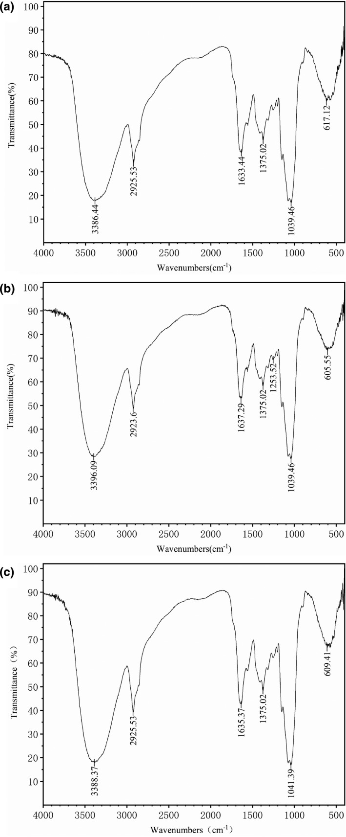 FIGURE 7