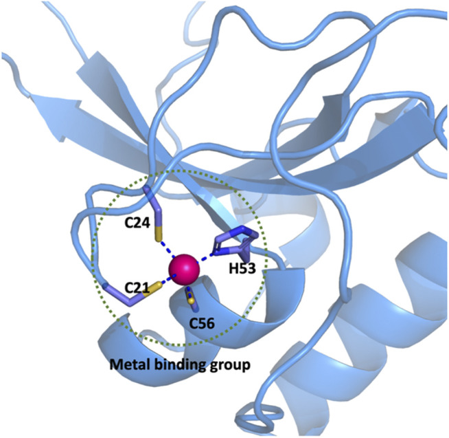 FIGURE 1