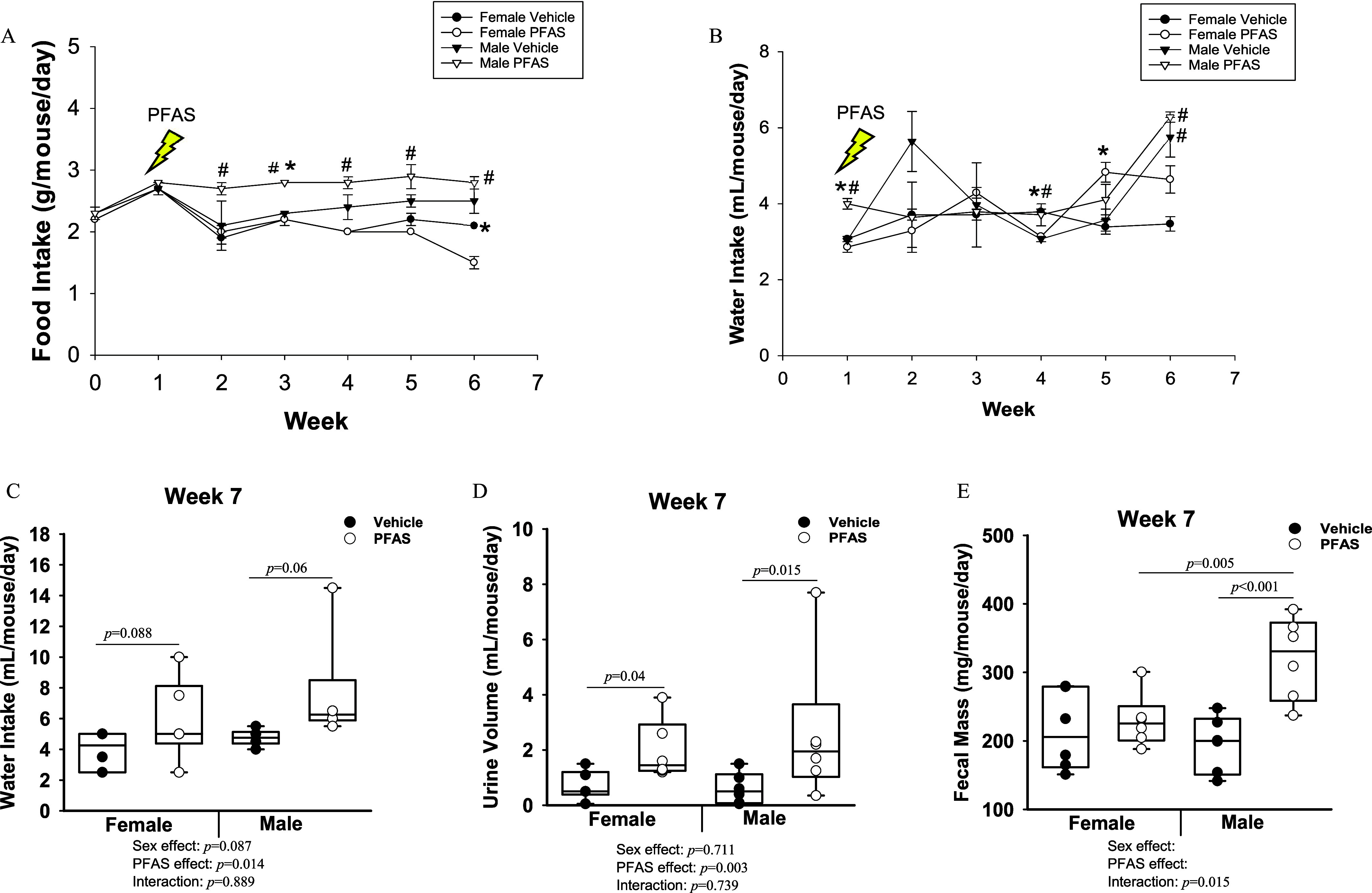 Figures 2A and 2B are line graphs, plotting Food intake (grams per mouse per day), ranging from 0 to 5 in unit increments, and Water intake (milliliters per mouse per day), ranging from 0 to 8 in increments of 2 (y-axis) across Week, ranging from 0 to 7 in unit increments (x-axis) for female vehicle control, female per- and polyfluoroalkyl substances, male vehicle control, and male per- and polyfluoroalkyl substances, respectively. Figures 2C to 2E are box and whisker plots, plotting Water intake (milliliters per mouse per day), ranging from 0 to 18 in increments of 2; Urine volume (milliliters per mouse per day), ranging from 0 to 10 in increments of 2; and Fecal mass (milligrams per mouse per day), ranging from 100 to 500 in increments of 100 (y-axis) across Female and Male, each including sex effect, per- and polyfluoroalkyl substances, and interaction (x-axis) for vehicle and per- and polyfluoroalkyl substances, respectively.