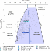 Extended Data Fig. 4