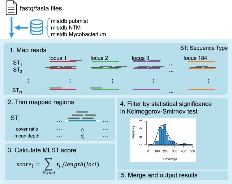 Figure 2.