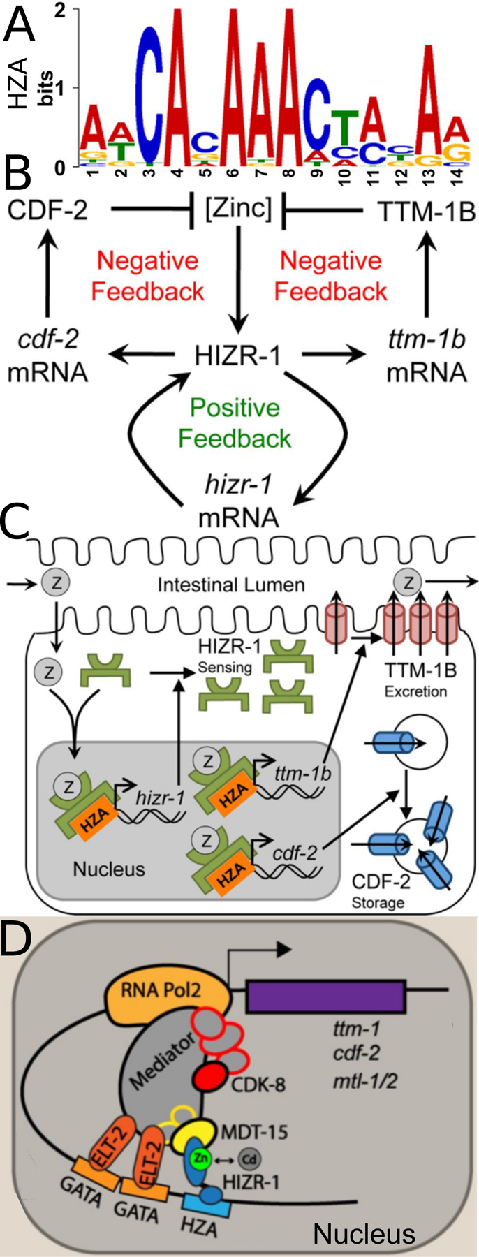 Figure 4: