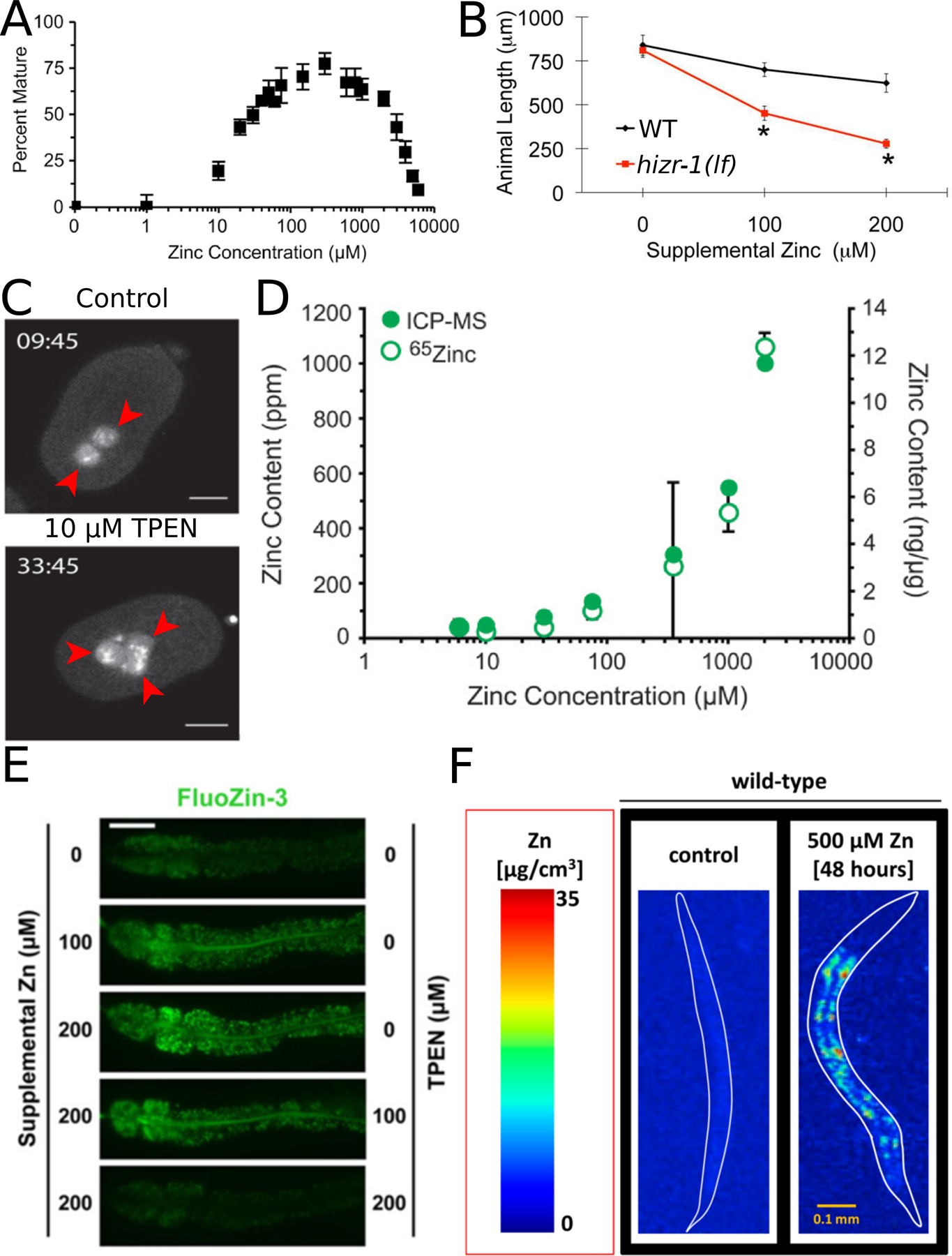 Figure 2: