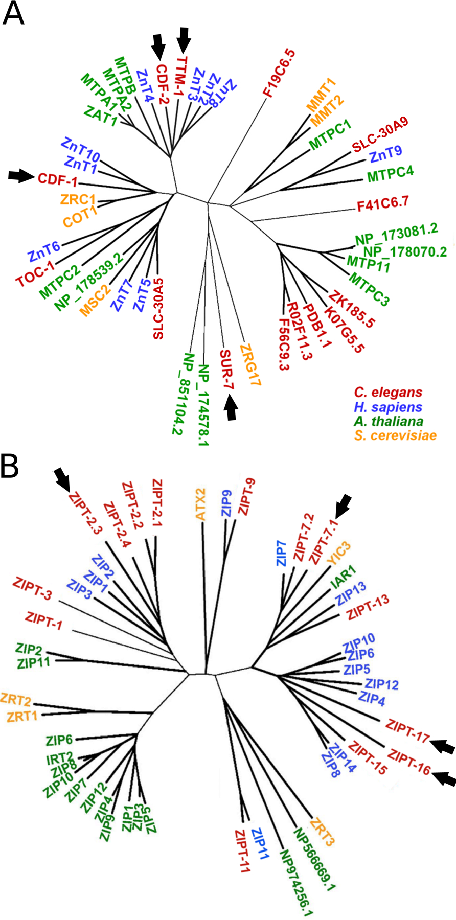 Figure 3: