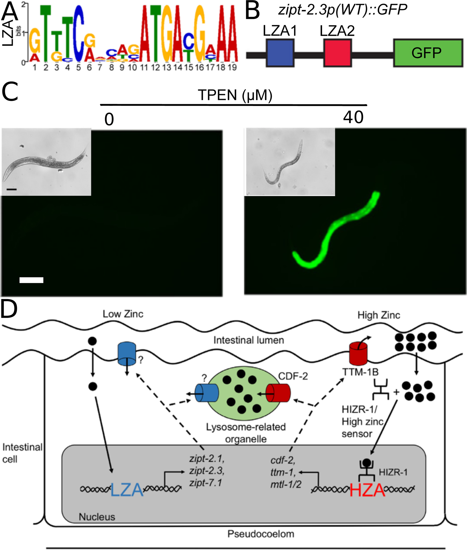 Figure 6: