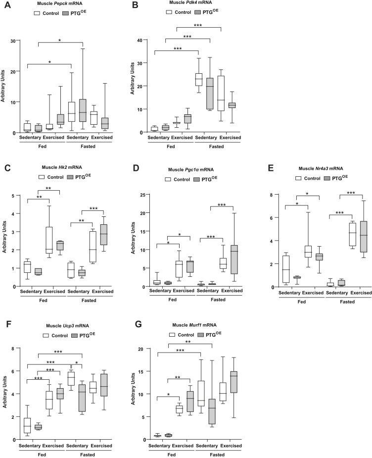 Figure 6