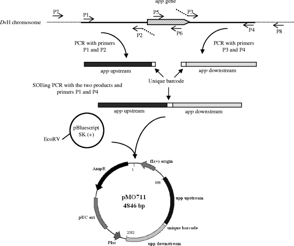 FIG. 1.