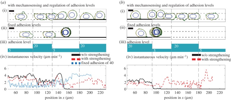 Figure 6.