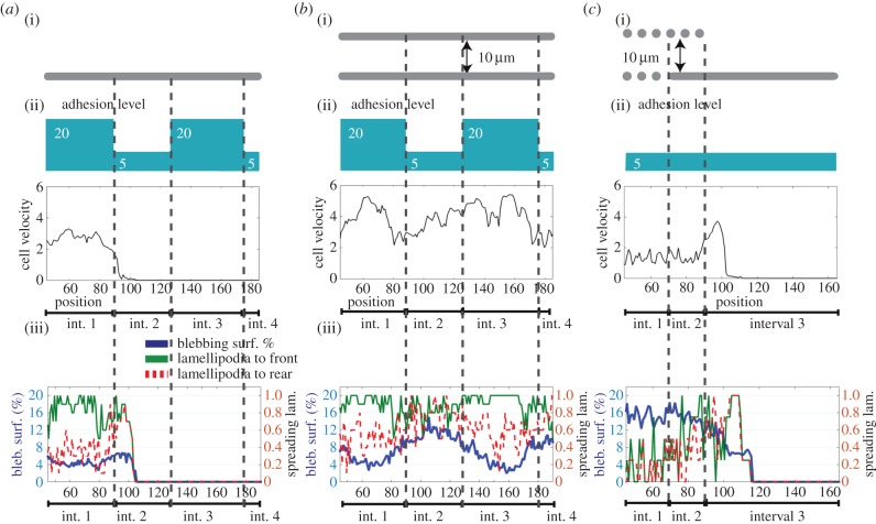 Figure 4.