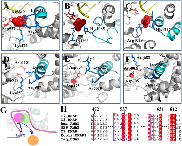 Fig 6