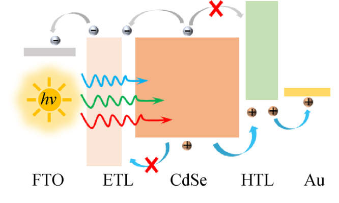 graphic file with name 12200_2021_1217_Fig1_HTML.jpg