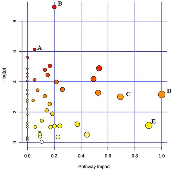 FIGURE 3