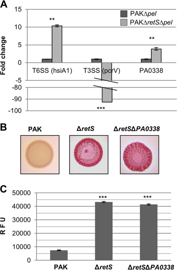 FIG 1