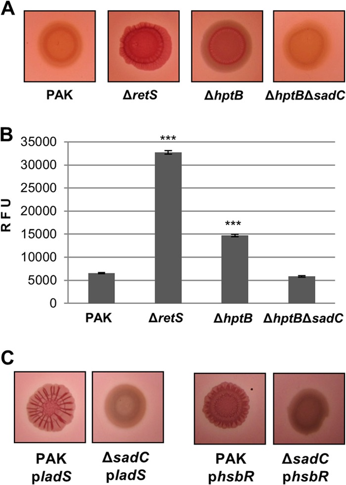 FIG 3