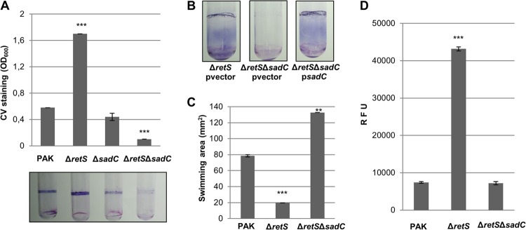 FIG 2