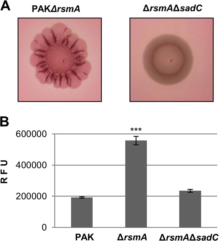 FIG 4