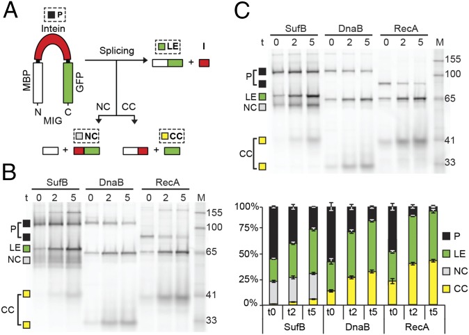 Fig. 2.