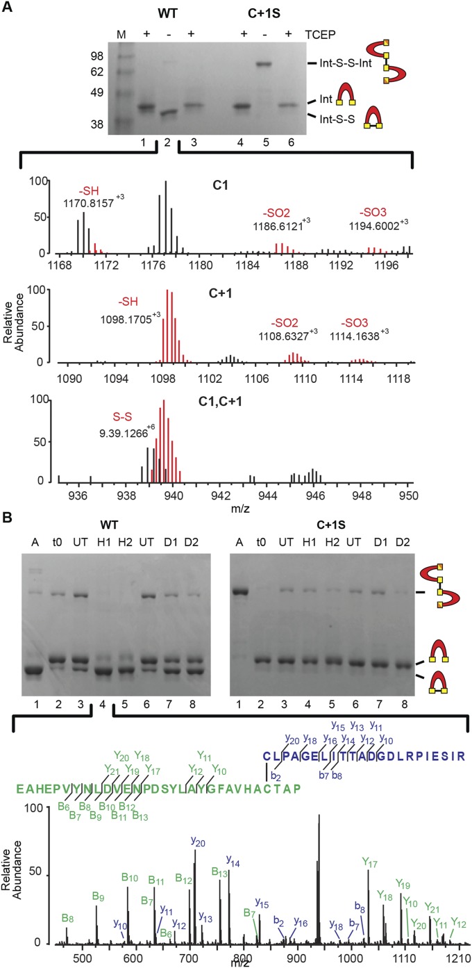 Fig. S4.