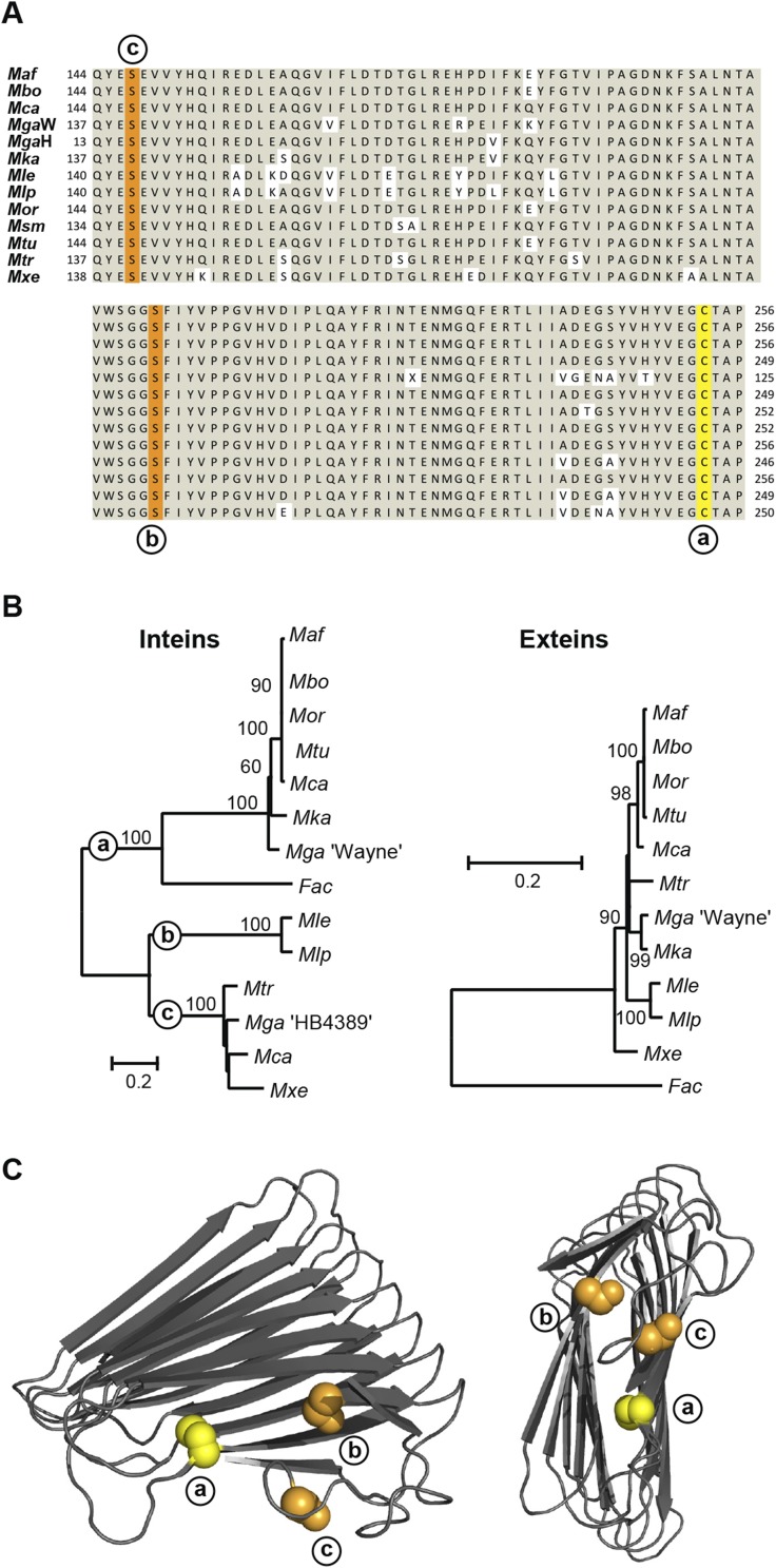 Fig. S1.