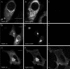 FIG. 7.