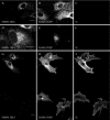 FIG. 6.